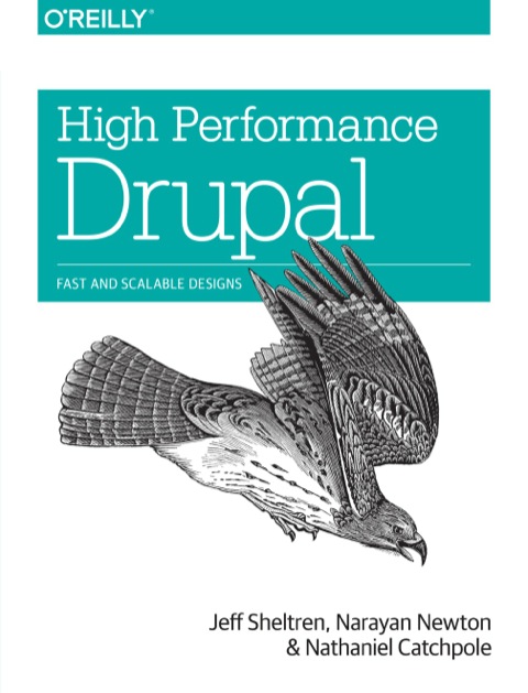 High Performance Drupal Fast And Scalable Designs 1st Edition Sheltren