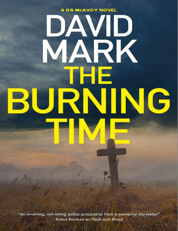 The Burning Time 1st Edition David Mark