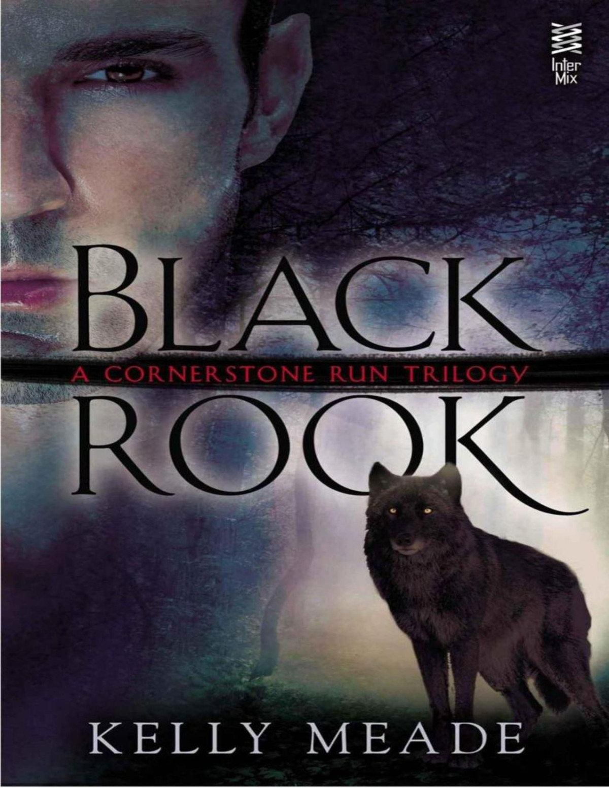 Black Rook A Cornerstone Run Trilogy Kelly Meade