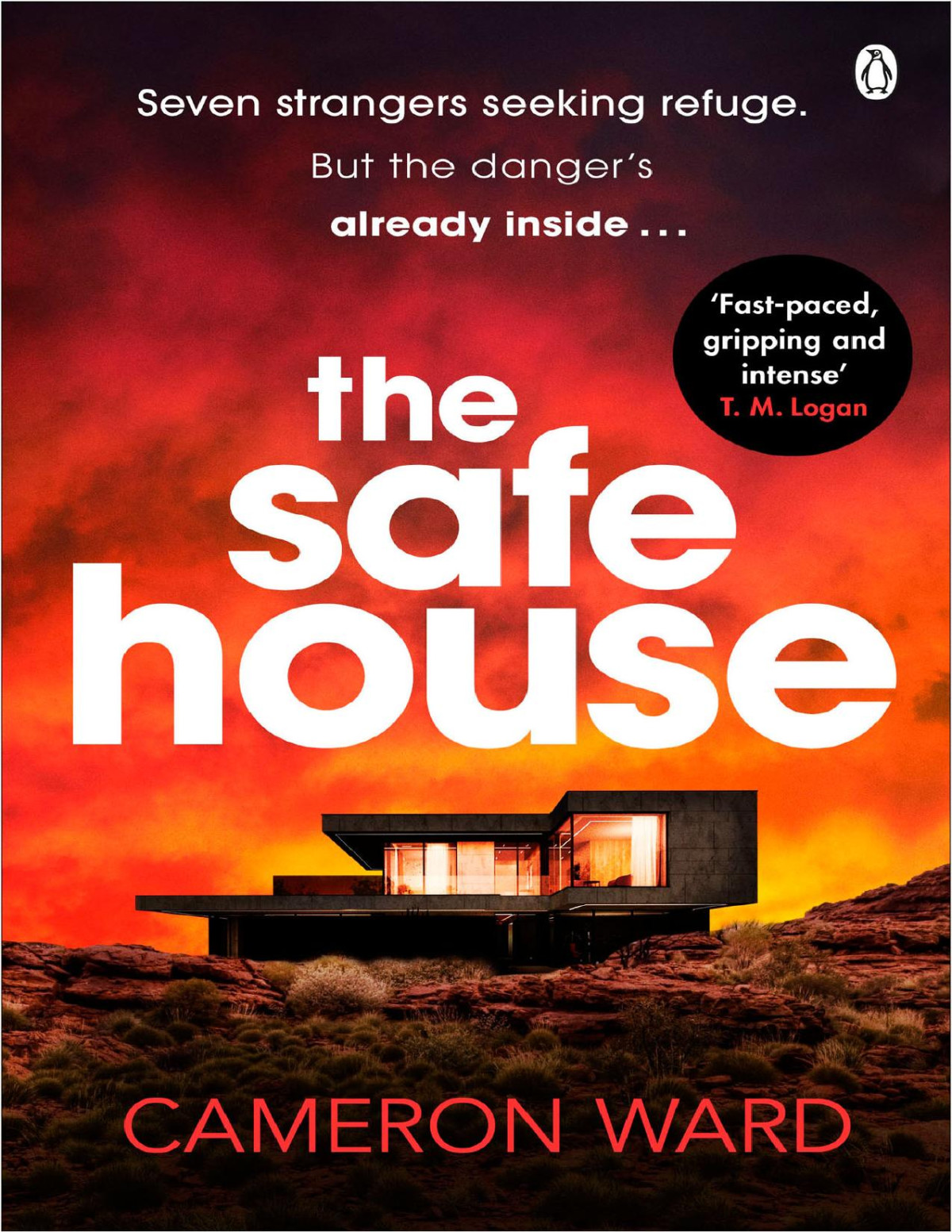 The Safe House Cameron Ward