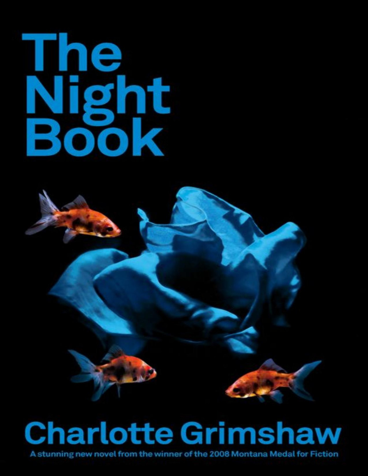 The Night Book Charlotte Grimshaw