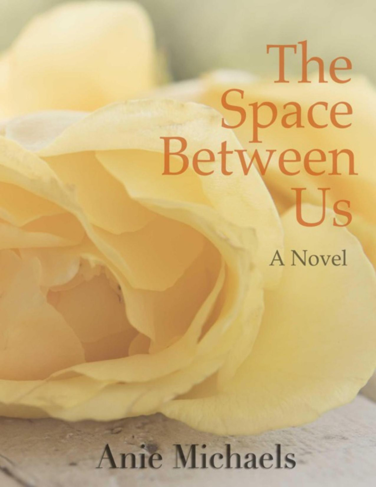 The Space Between Us Anie Michaels
