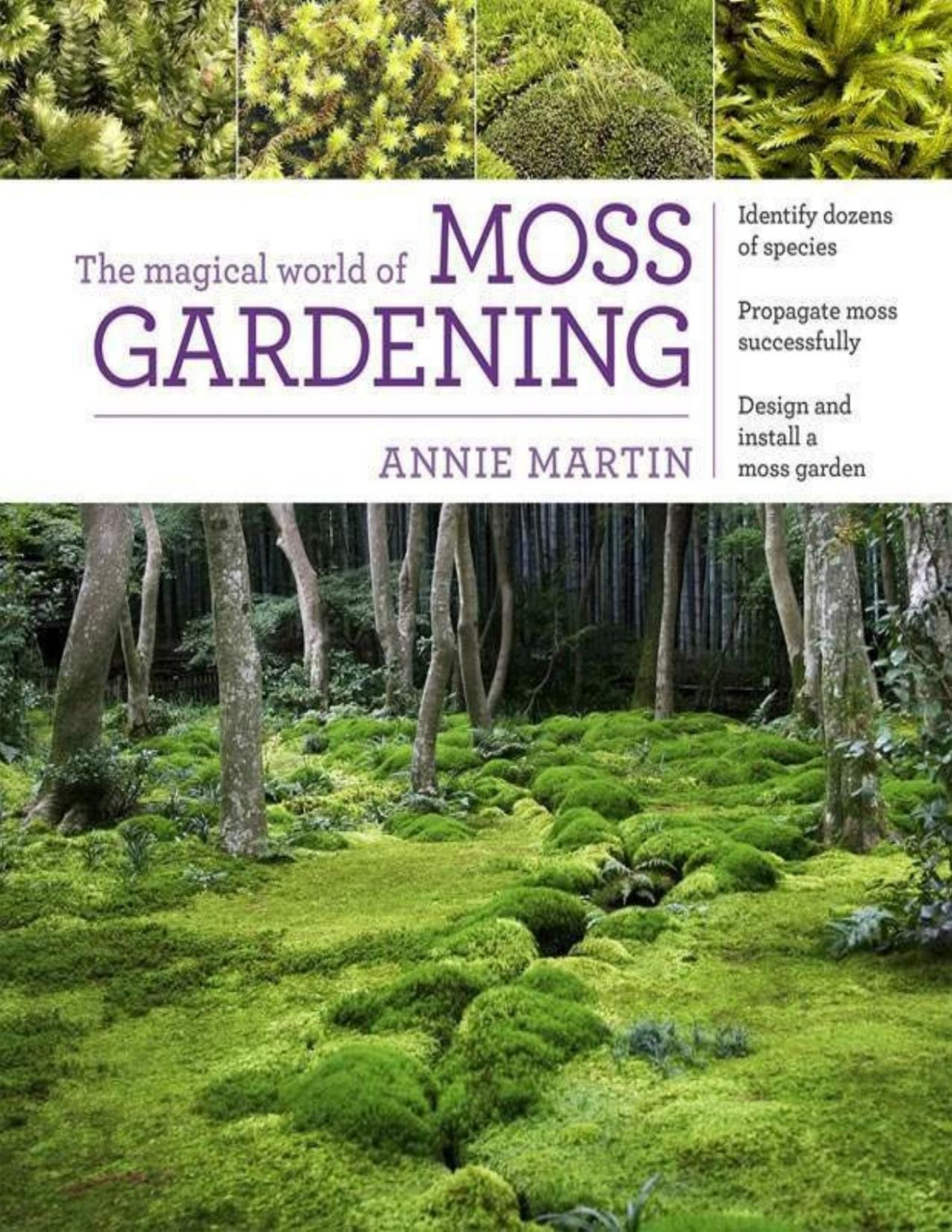 The Magical World Of Moss Gardening Annie Martin