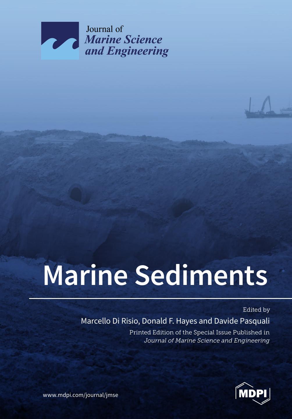 Marine Sediments Marcello Di Risio Donald F Hayes Davide Pasquali