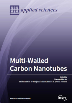 Multiwalled Carbon Nanotubes Simone Morais
