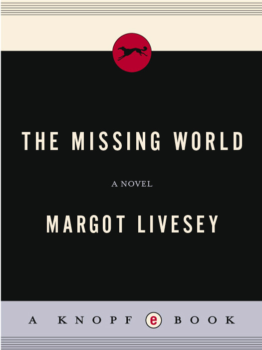 The Missing World Margot Livesey