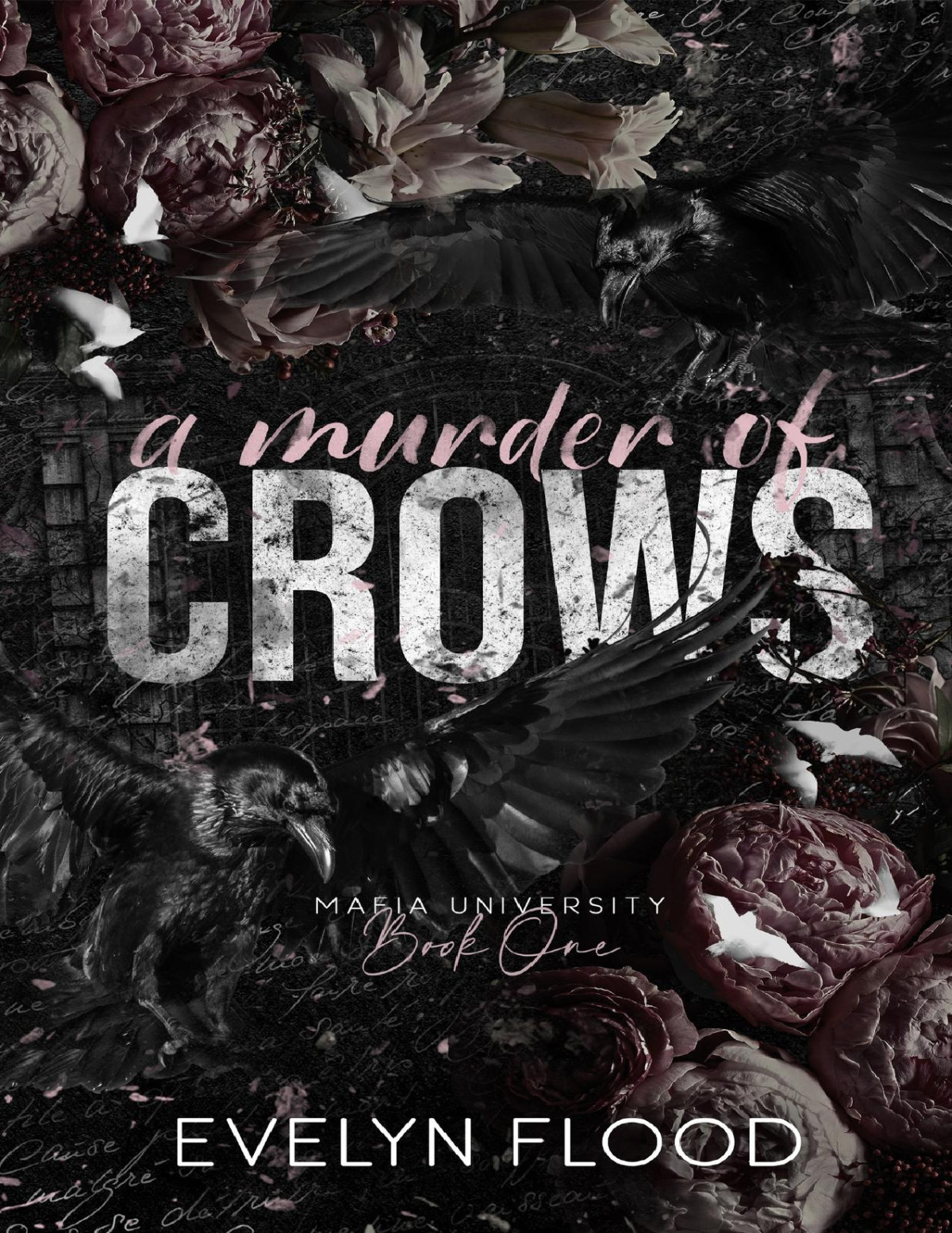 A Murder Of Crows Mafia University 1 Evelyn Flood