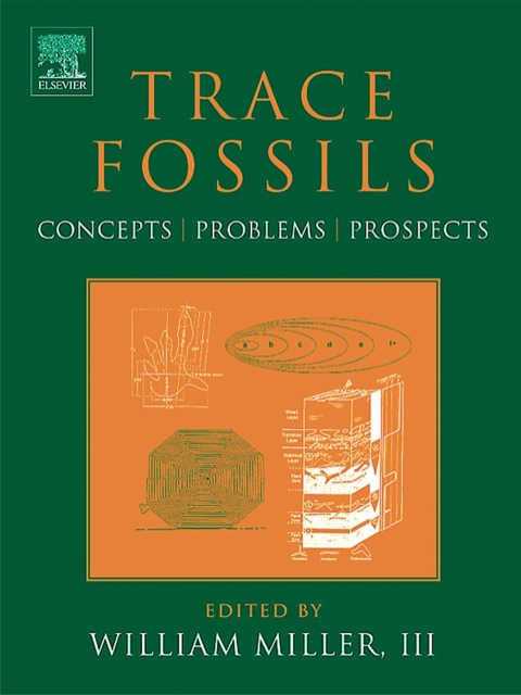 Trace Fossils Concepts Problems Prospects 1st Edition Miller
