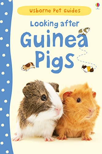 Looking After Guinea Pigs Usborne Pet Guides Laura Howell