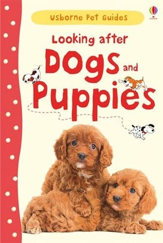 Looking After Dogs Puppies Katherine Starke