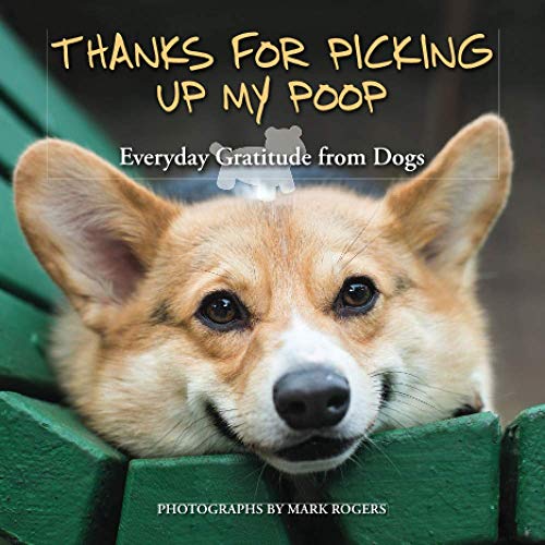 Thanks For Picking Up My Poop Everyday Gratitude From Dogs Fun Gifts For Animal Lovers Repackage Rogers
