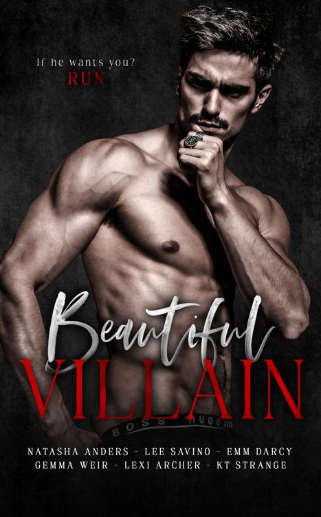Beautiful Villain An Anthology Of Standalone Romance Novels Natasha Anders