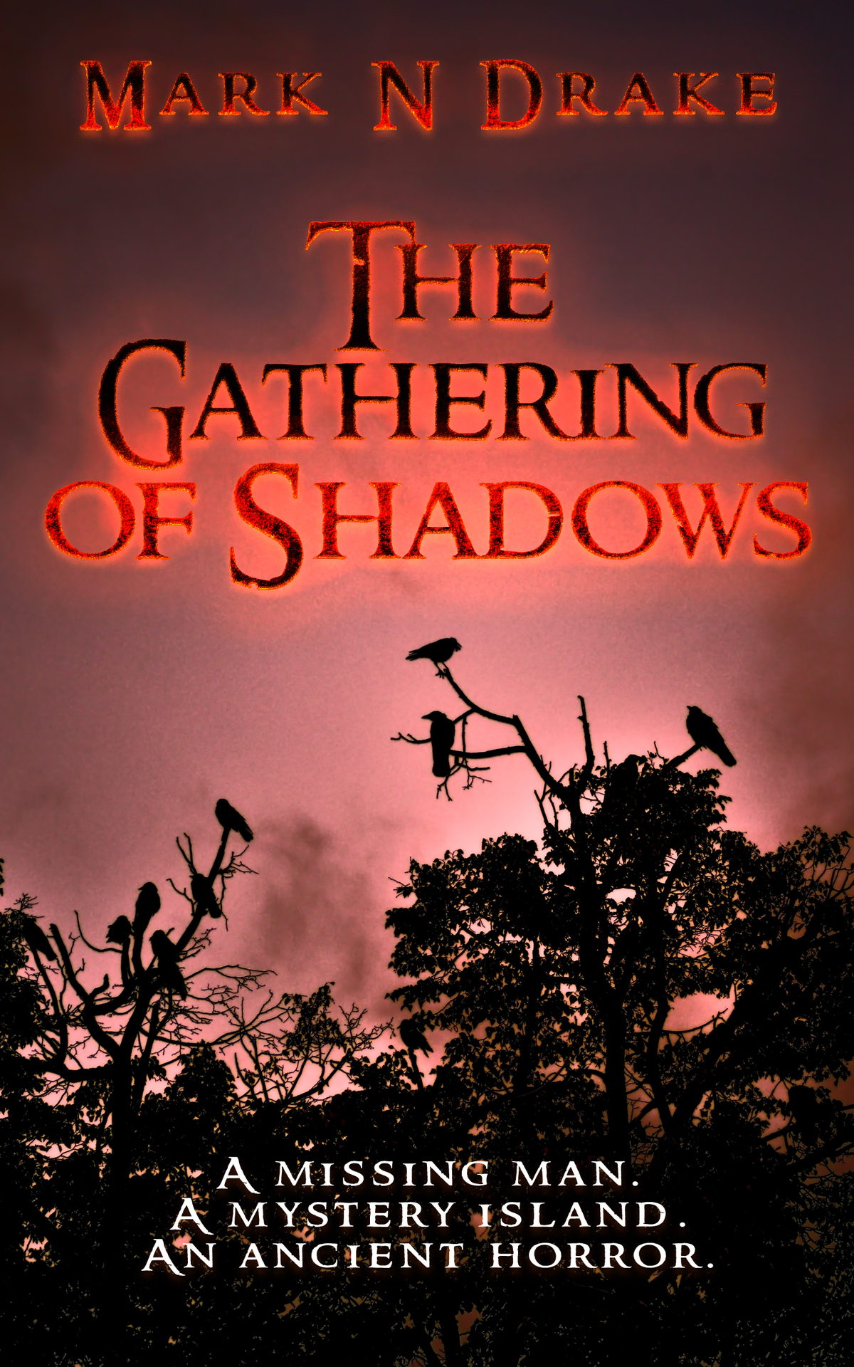 The Gathering Of Shadows 1st Edition Mark N Drake