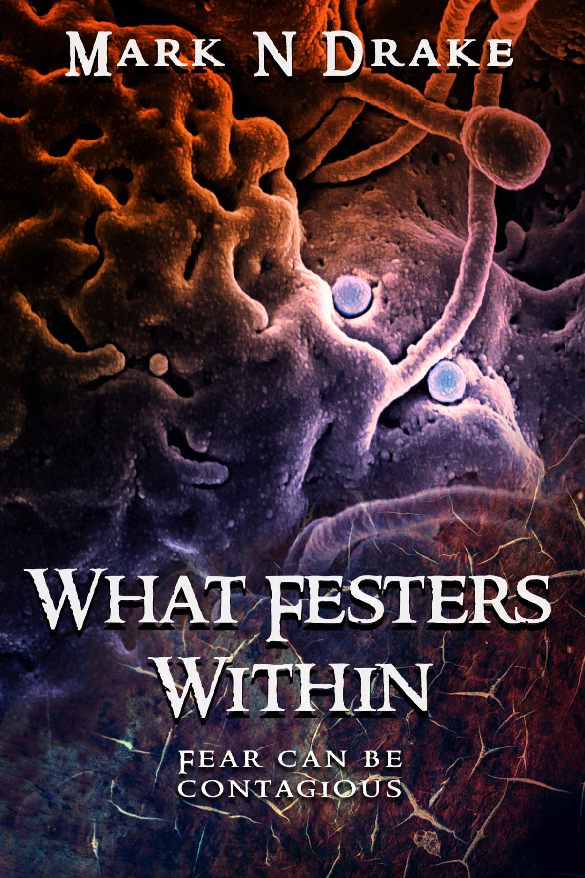 What Festers Within The Glennison Darkisle Cases Book 3 Mark N Drake