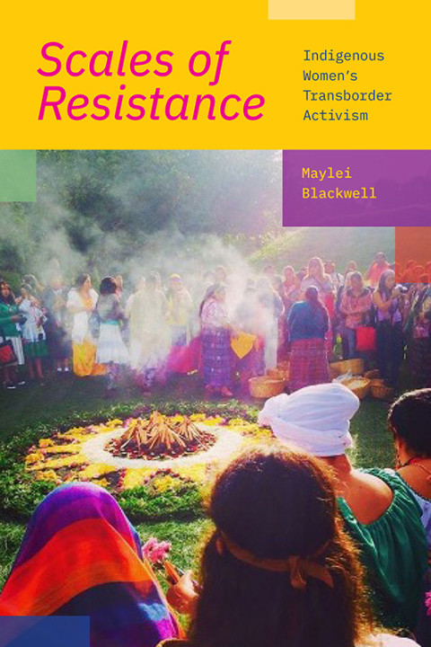 Scales Of Resistance Indigenous Womens Transborder Activism 1st Maylei Blackwell