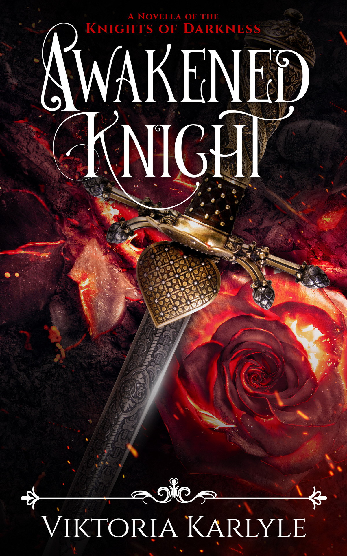 Awakened Knight A Novella Of The Knights Of Darkness Viktoria Karlyle