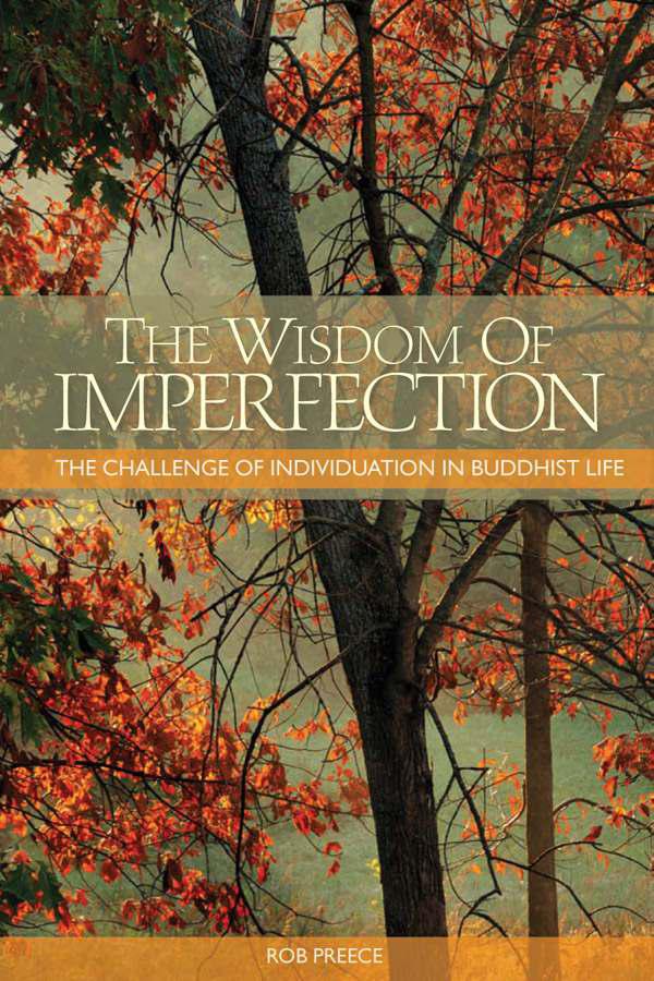 The Wisdom Of Imperfection The Challenge Of Individuation In Buddhist Life Rob Preece