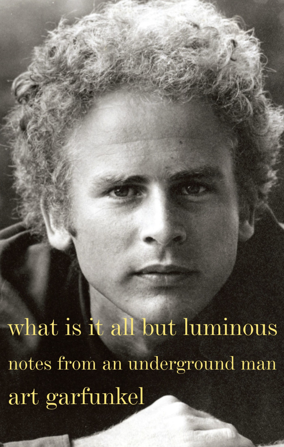 What Is It All But Luminous Notes From An Underground Man Art Garfunkel
