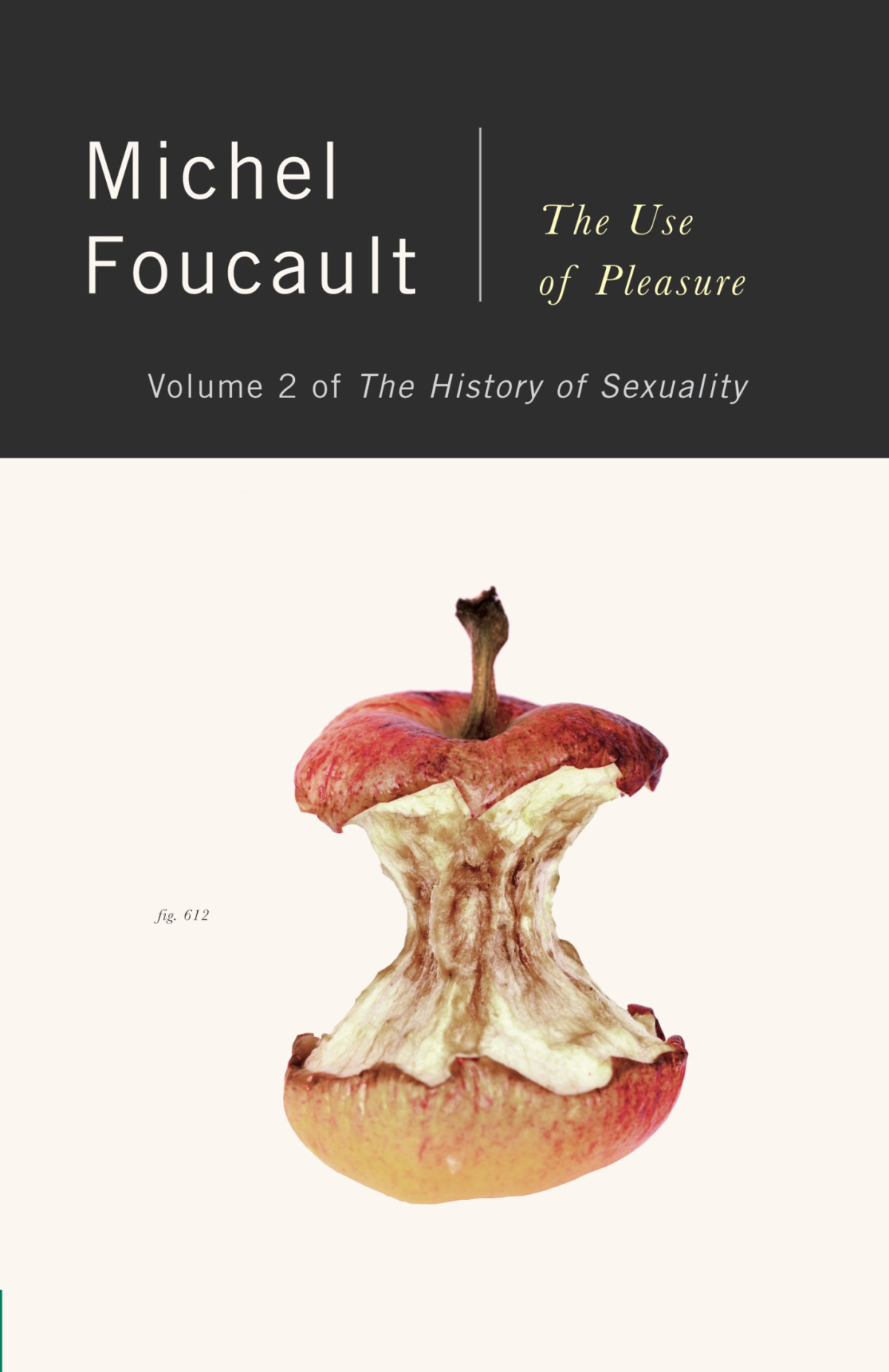 The History Of Sexuality Volume 2 The Use Of Pleasure Michel Foucault Robert Hurley