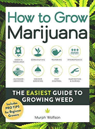 How To Grow Marijuana The Easiest Guide To Growing Weed Illustrated Wolfson