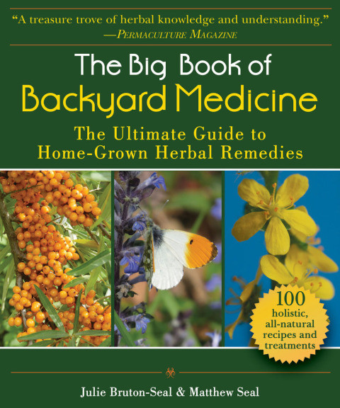 Big Book Of Backyard Medicine Julie Brutonseal