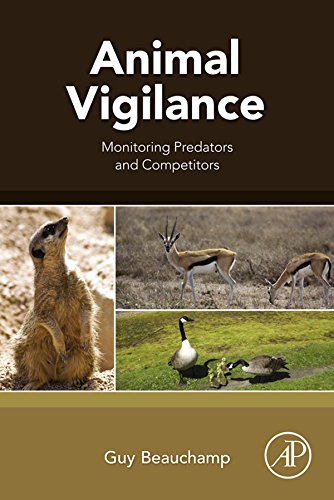 Animal Vigilance Monitoring Predators And Competitors 1st Edition Beauchamp