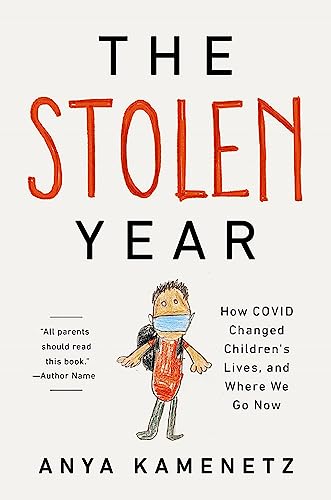 The Stolen Year Anya Kamenetz