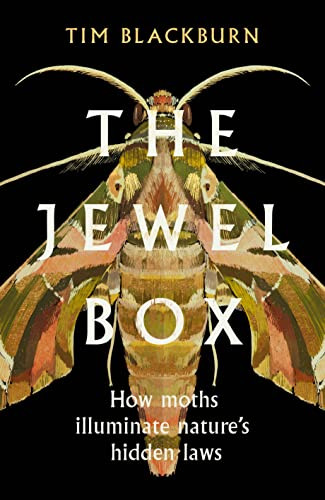 The Jewel Box How Moths Illuminate Natures Hidden Rules Blackburn