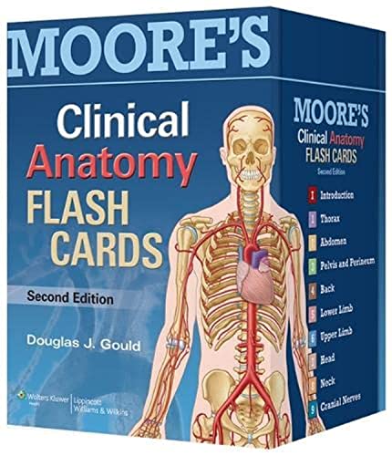 Moores Clinical Anatomy Flash Cards 2e August 1 20131451173350lww Second Gould Phd