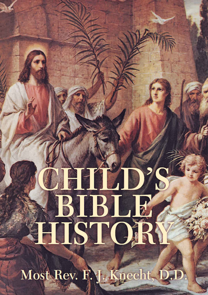 Childs Bible History Rev Frederick Justus Knecht