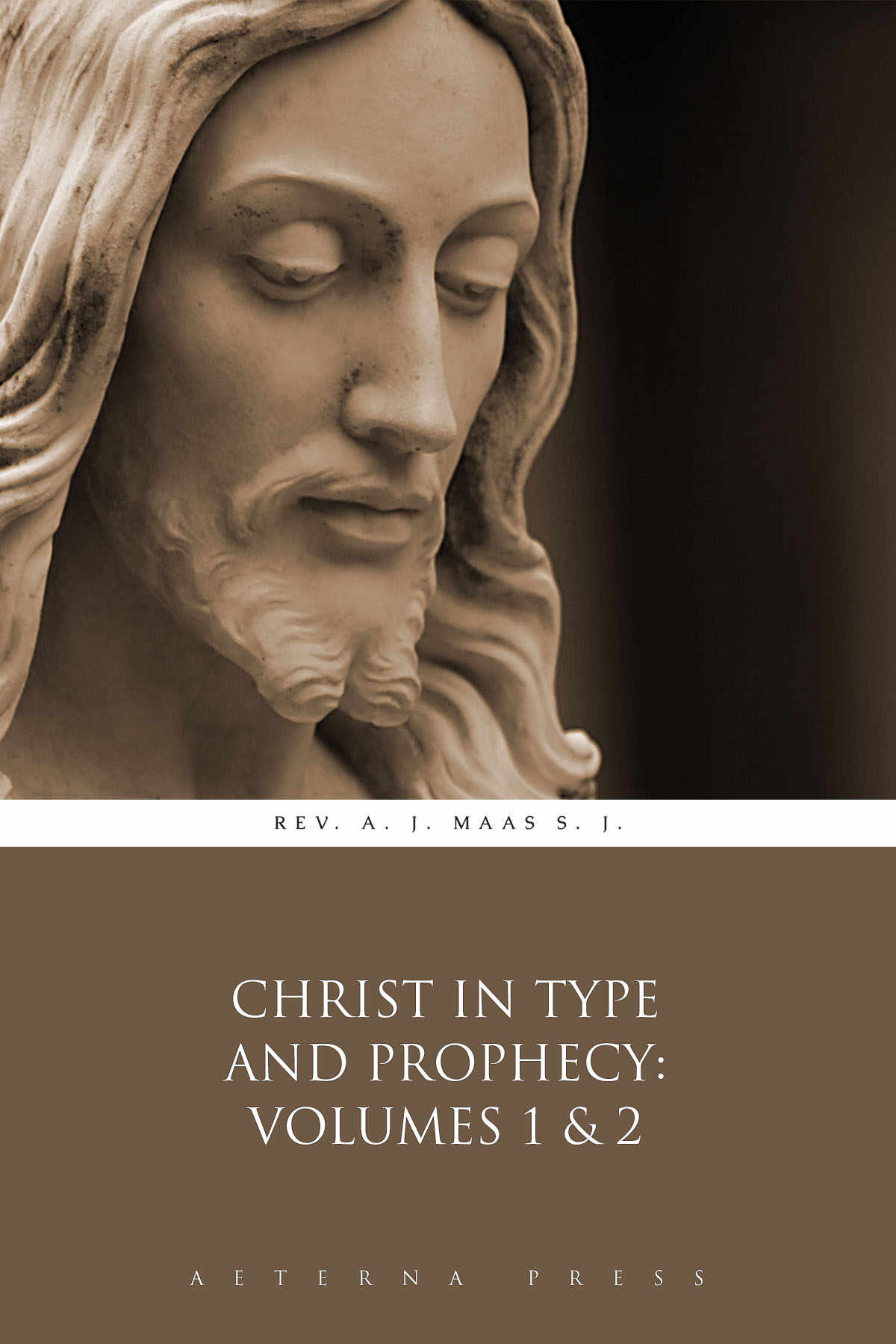 Christ In Type And Prophecy Volumes 1 2 Illustrated Rev A J Maas S J