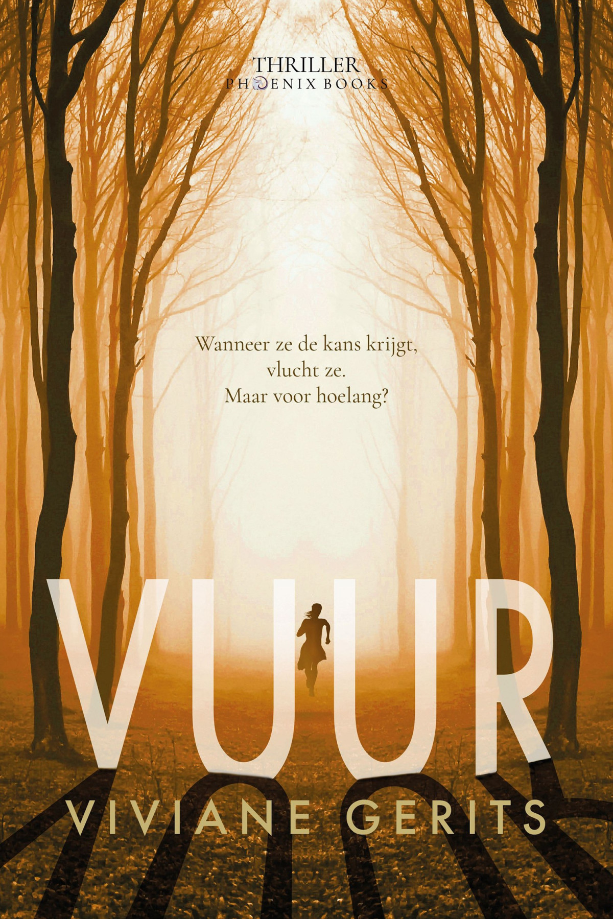 Vuur Viviane Gerits