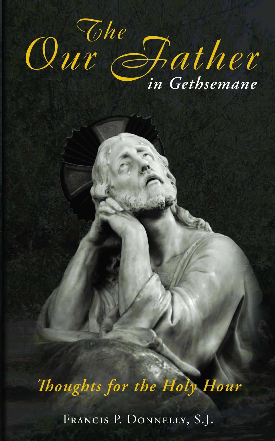 Our Father In Gethsemane Thoughts For The Holy Hour With Supplemental Reading Catholic Prayers Illustrated Francis P Donnelly