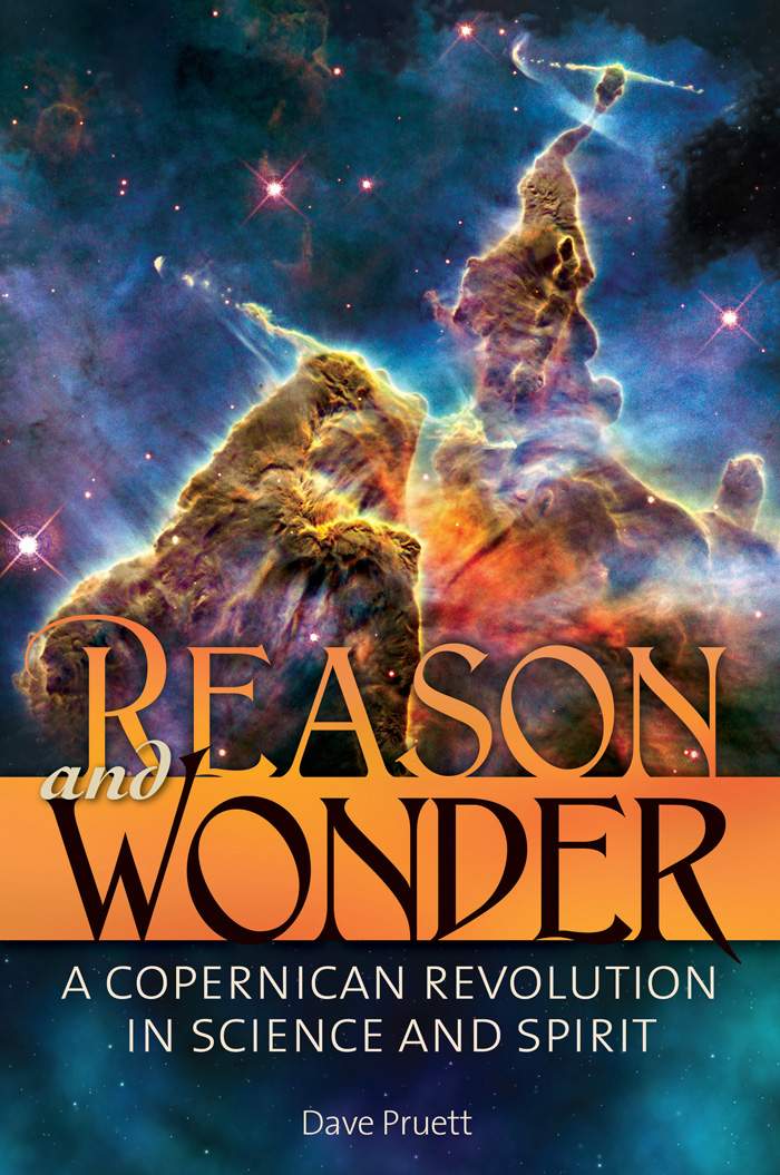 Reason And Wonder Dave Pruett