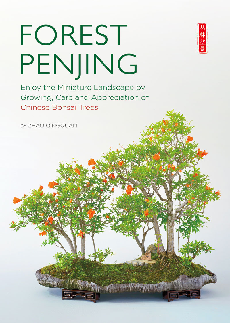 Forest Penjing Enjoy The Miniature Landscape By Growing Care And Appreciation Of Chinese Bonsai Trees Zhao