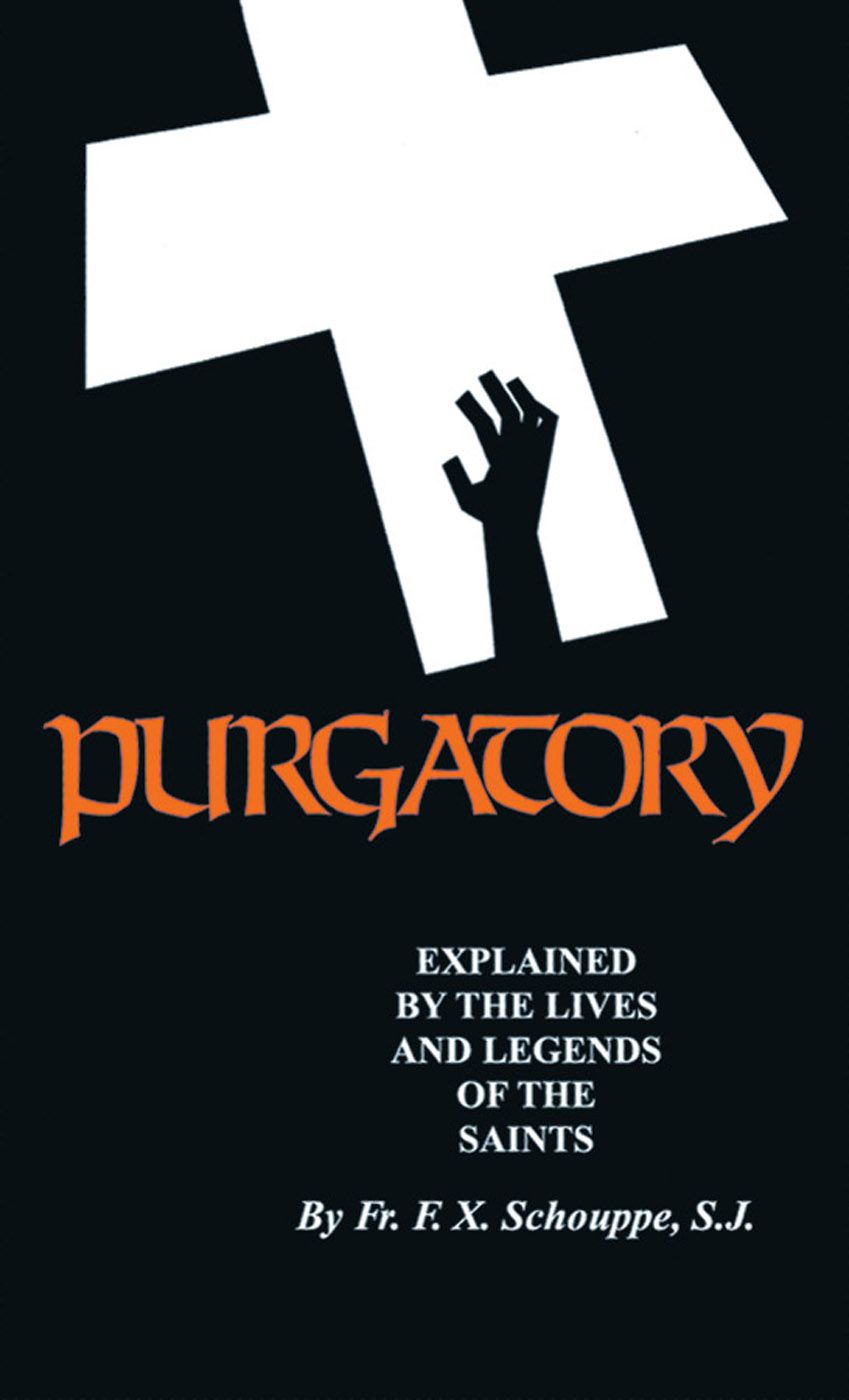 Purgatory Explained With Supplemental Reading What Will Hell Be Like Illustrated Schouppe Sj