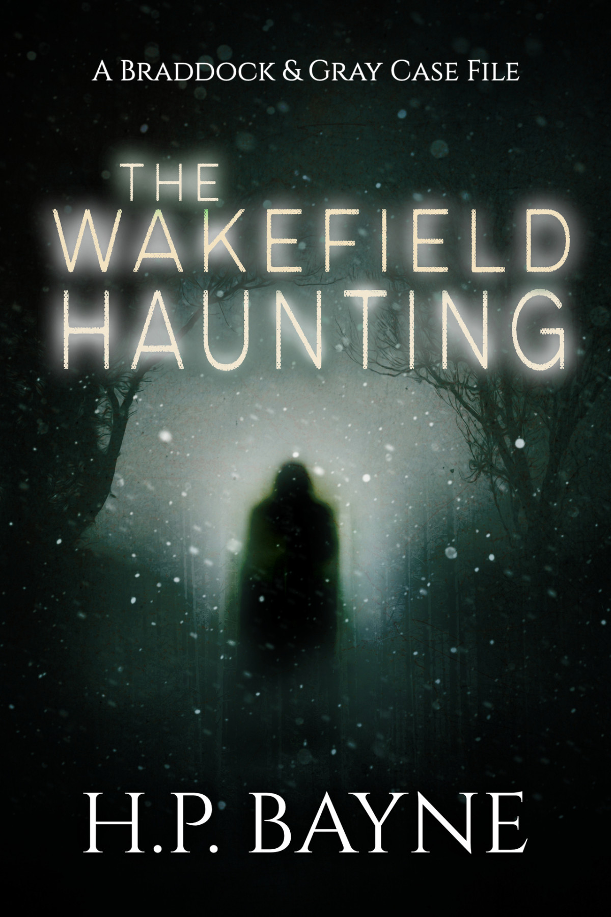 The Wakefield Haunting The Braddock Gray Case Files Book 12 Bayne