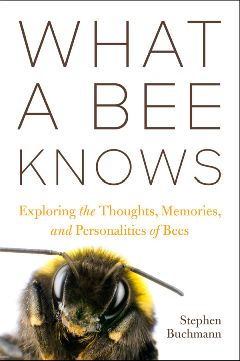 What A Bee Knows Exploring The Thoughts Memories And Personalities Of Bees 3rd Edition Stephen L Buchmann