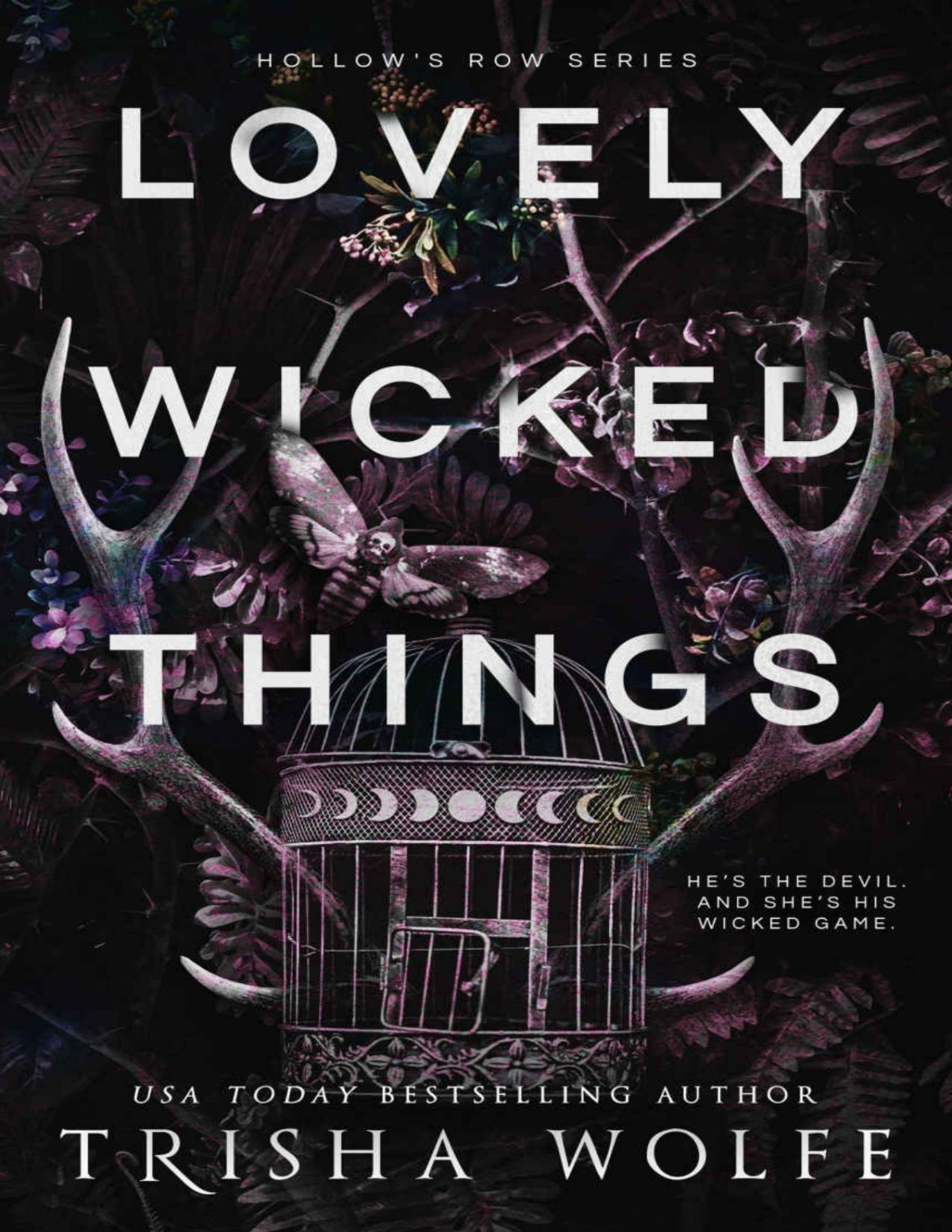 Lovely Wicked Things A Dark Academia Romance Trisha Wolfe