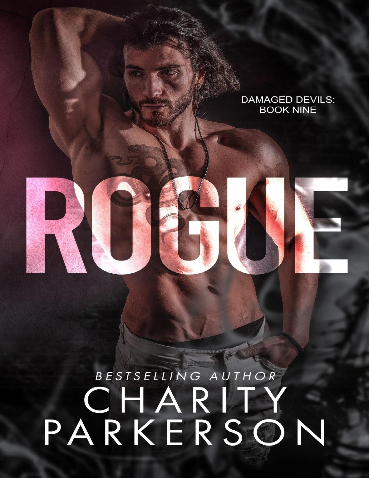 Rogue Damaged Devils Book 9 Charity Parkerson