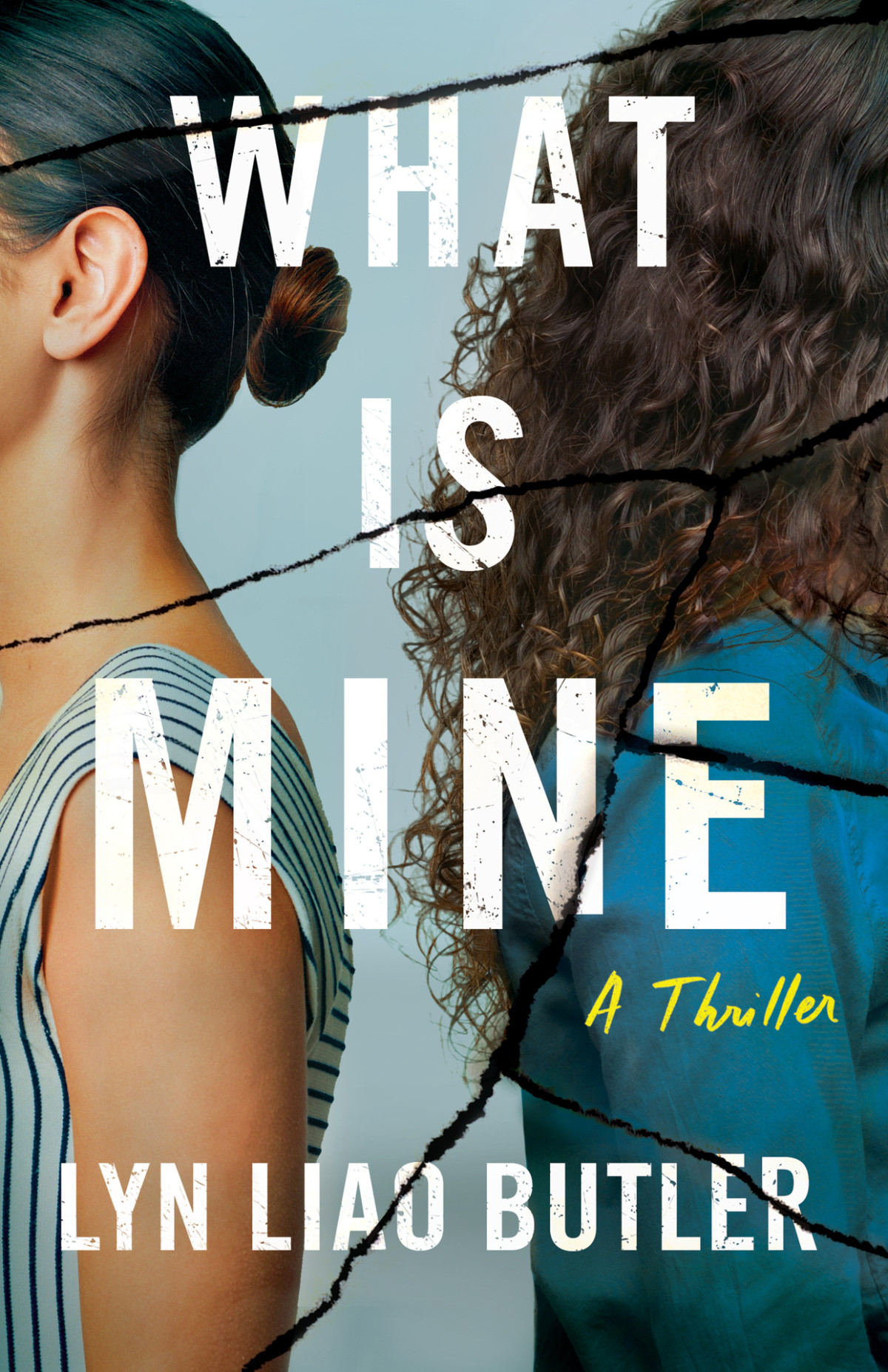 What Is Mine A Thriller Lyn Liao Butler