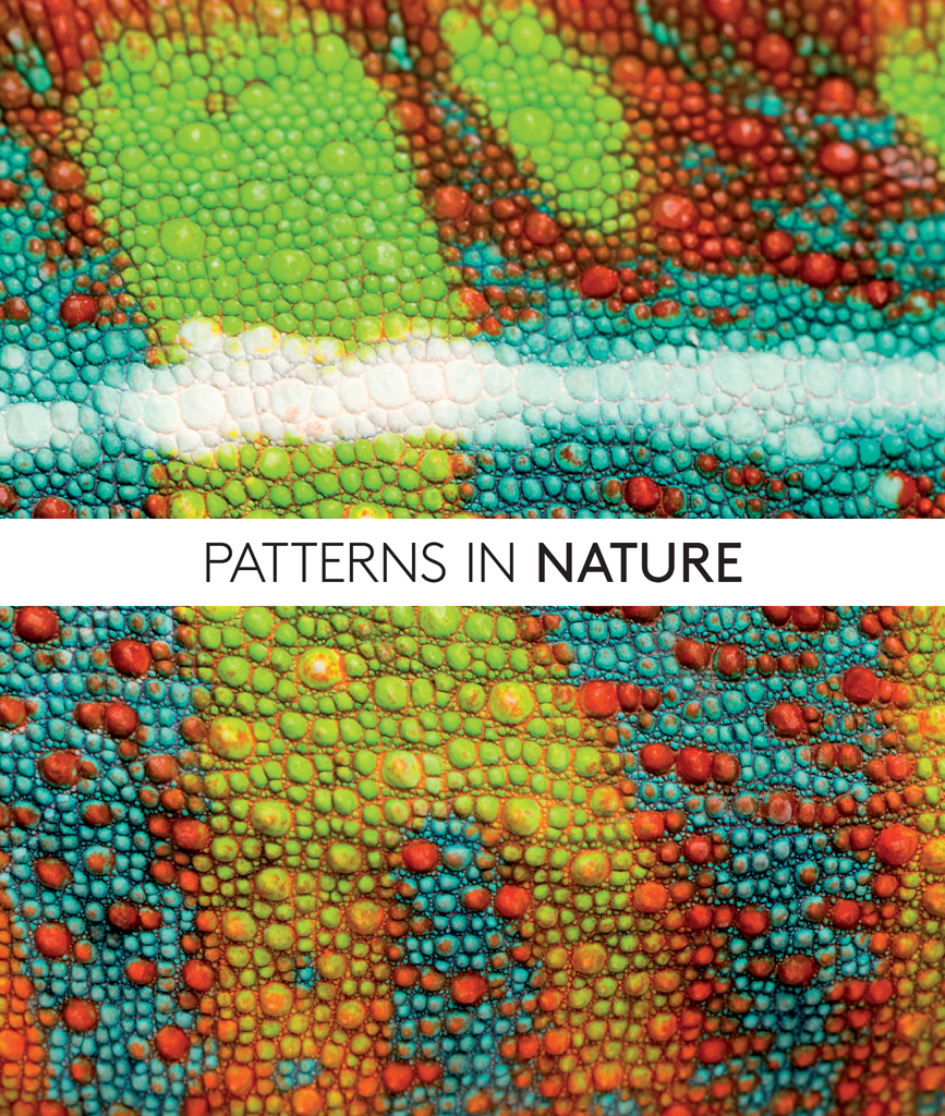 Patterns In Nature Philip Ball