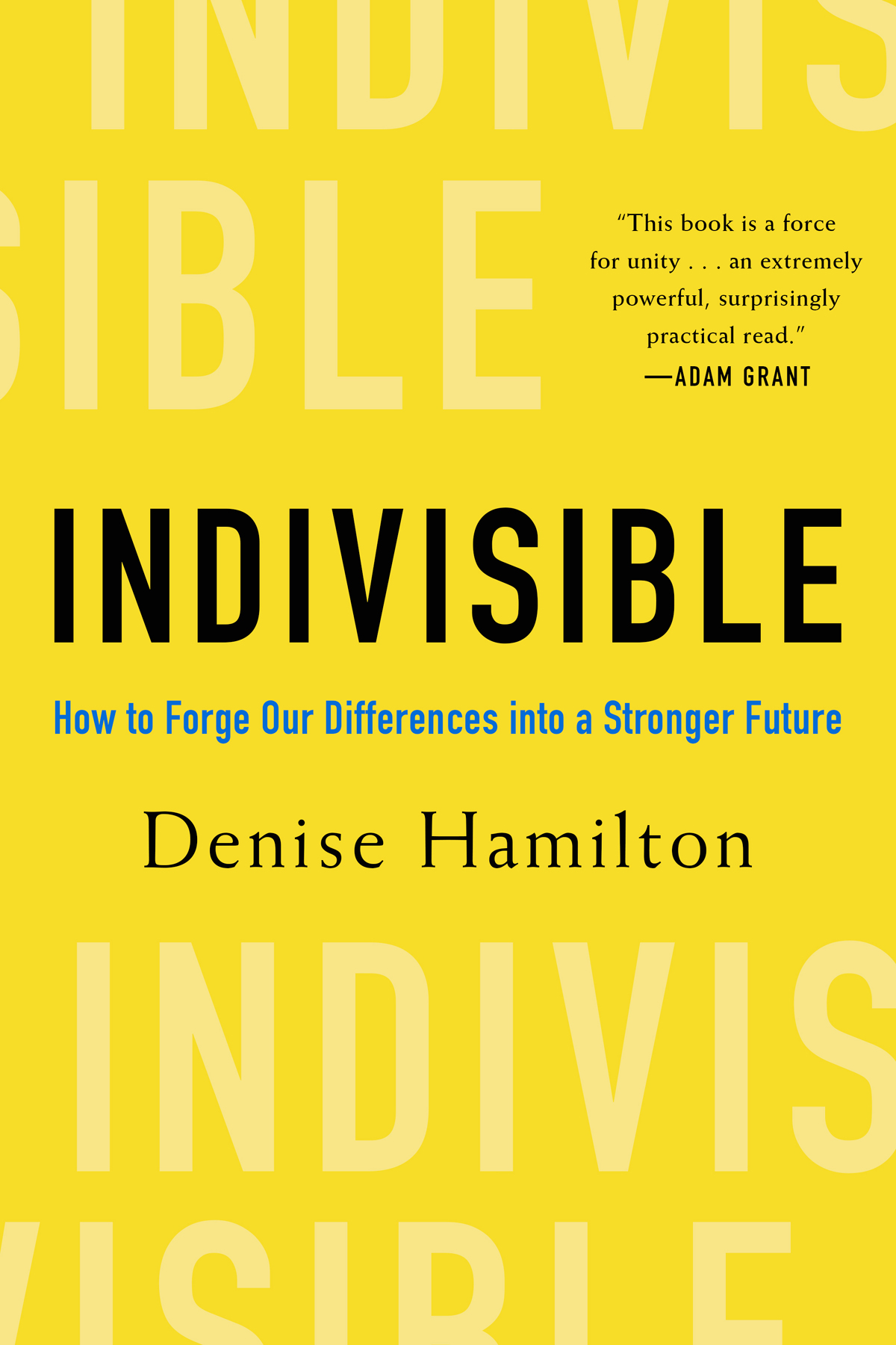 Indivisible How To Forge Our Differences Into A Stronger Future Denise Hamilton