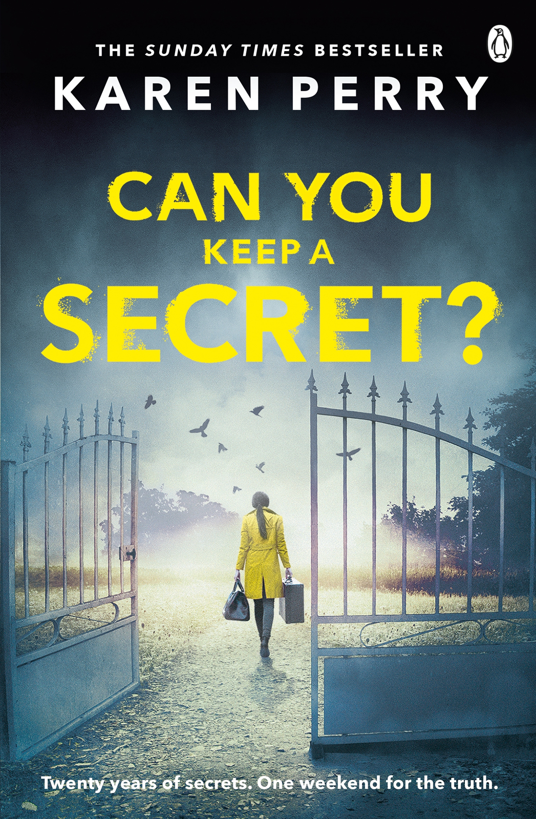 Can You Keep A Secret Karen Perry