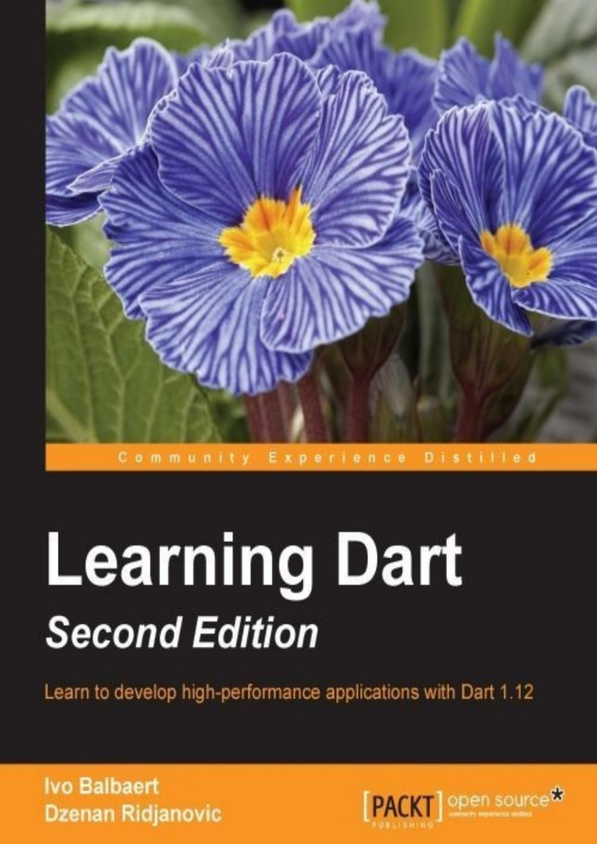 Learning Dart Ivo Balbaert Dzenan Ridjanovic