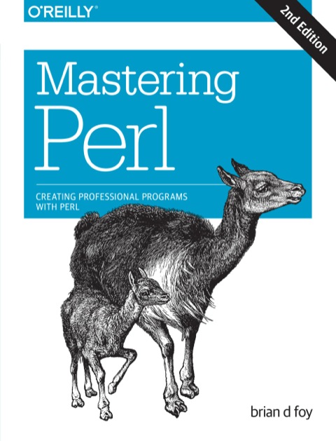 Mastering Perl Creating Professional Programs With Perl Second Foy