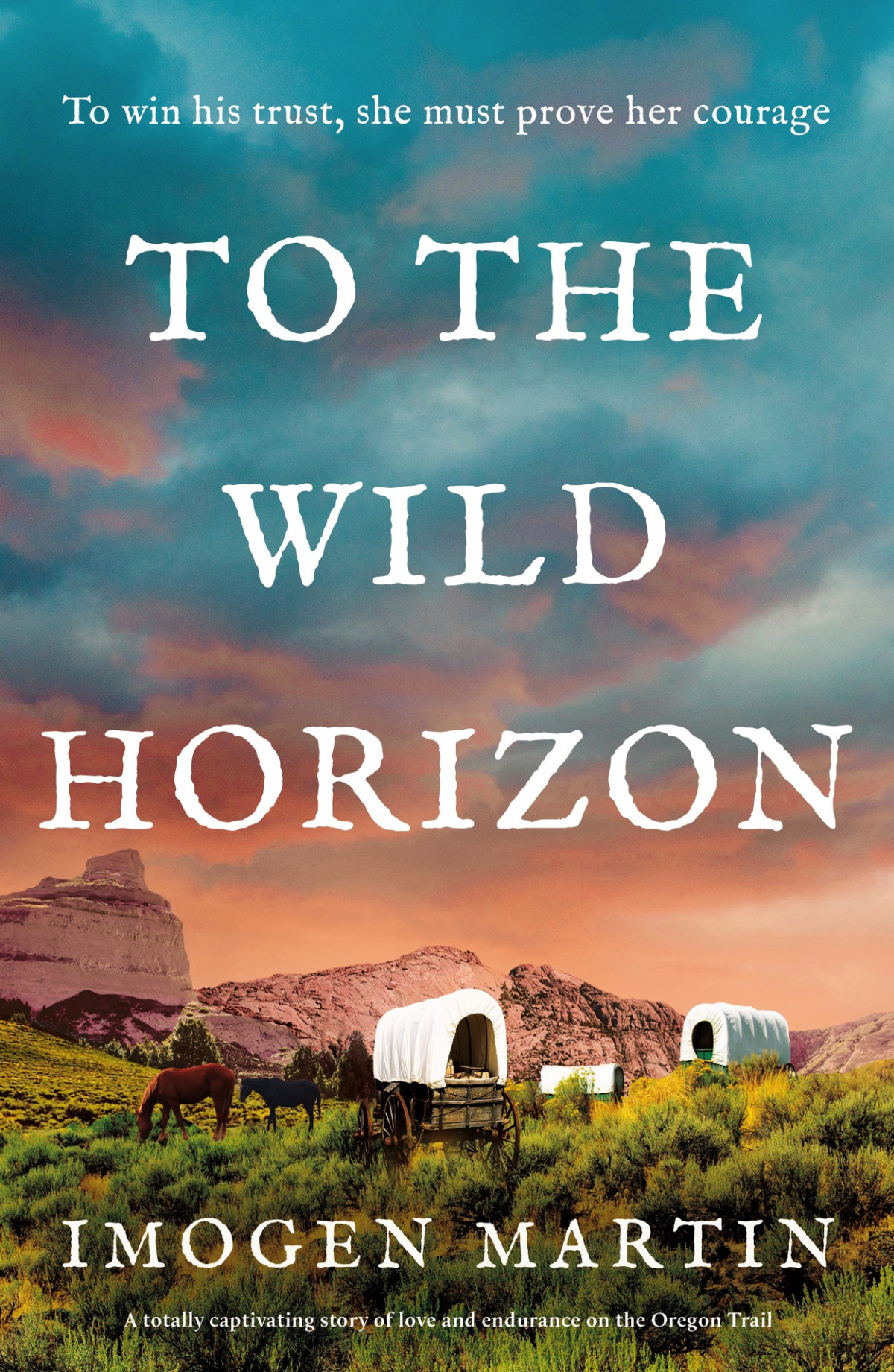 To The Wild Horizon A Totally Captivating Story Of Love And Endurance On The Oregon Trail Imogen Martin