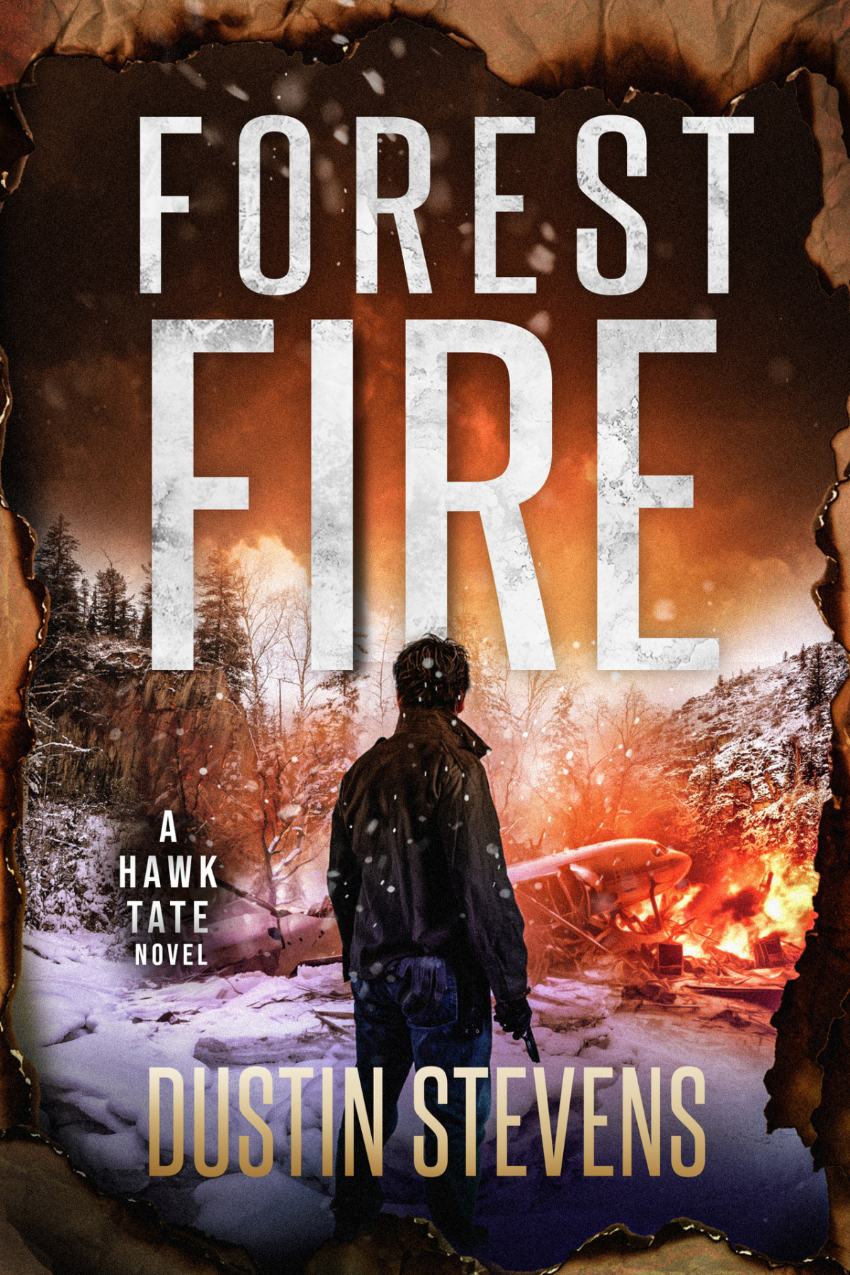 Forest Fire Dustin Stevens