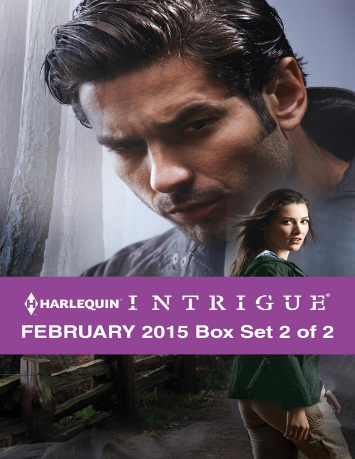 Harlequin Intrigue February 2015 Box Set 2 Of 2 Heart Of A Herothe Cattlemancountermeasures Debra Webb
