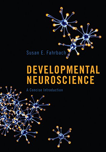 Developmental Neuroscience A Concise Introduction Fahrbach Susan E